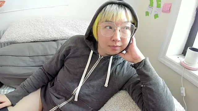 Show Webcam de luxgray
