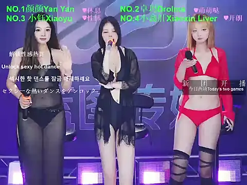 WWHAA Show Webcam