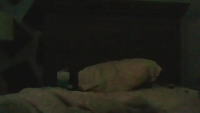 Show de chased21 na webcam