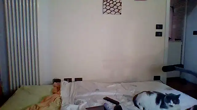 woww791 Show in webcam