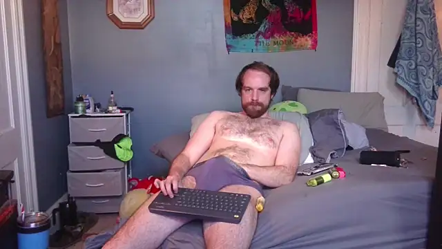 عرض كام hpluvsplata