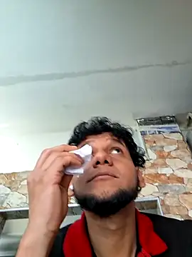 prototipoA45 Webcam-Show