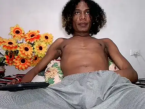 SantiMillern Webbikameraesitys