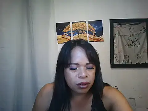 ericum06n Webbikameraesitys