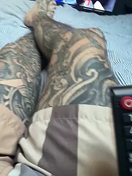 TattLad22n Webbikameraesitys