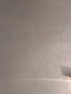 bojo69's Webcam Show