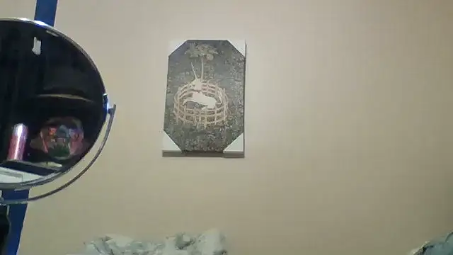 hailzeffnのウェブカメラショー