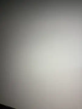 delasanのウェブカメラショー