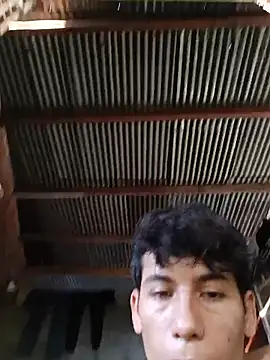 Andres123cv 网络视讯表演