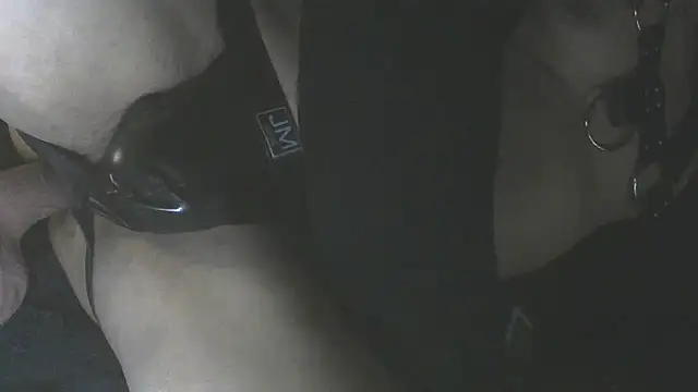 MeldingSocietyのウェブカメラショー