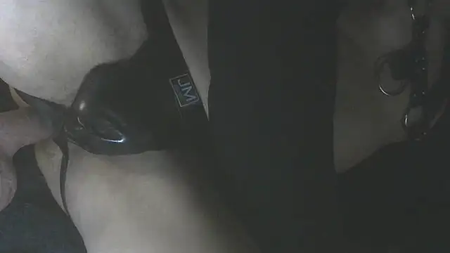 عرض كام MeldingSociety