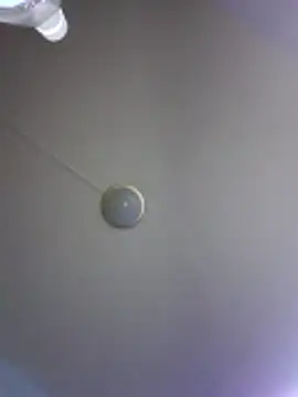 XXX chat uživo modela bennitravi