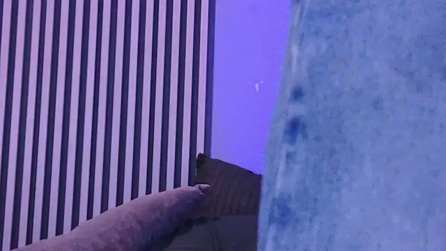 Anthonella_smiith 라이브 XXX 채팅