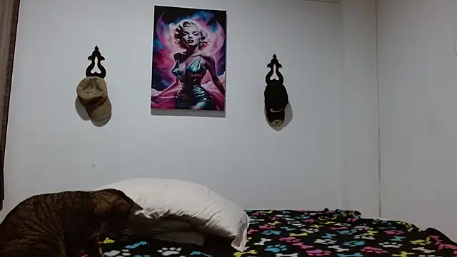 Crystal_Star_ 라이브 XXX 채팅