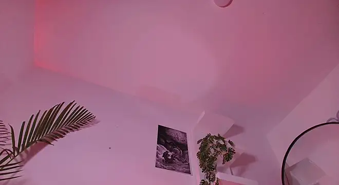 andyypalmer_n Webbikameraesitys