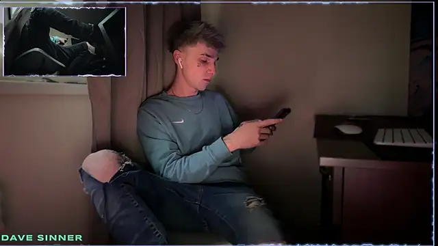 Show webcam de davesinner