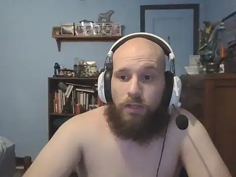 Show webcam de PDrents