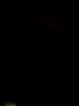 AceticPinscher webkamerás műsora