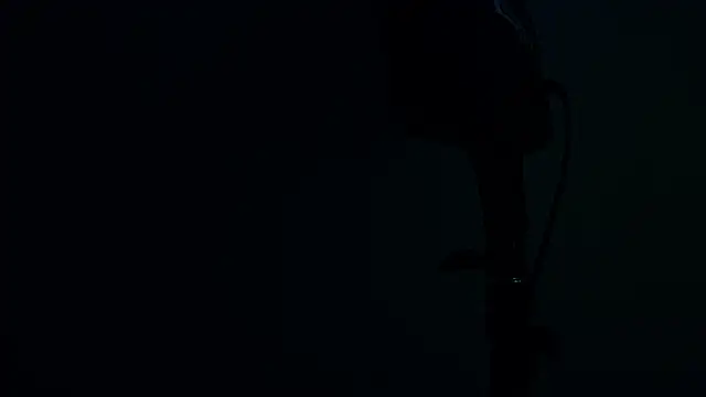 Czat XXX na żywo – RiriiBrunette__