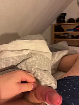 hannes256102 Webcam-Show