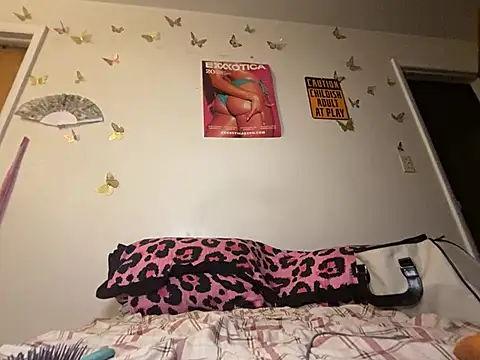 LeBimbo's Webcam Show