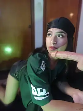 MeelFox Webcam-Show