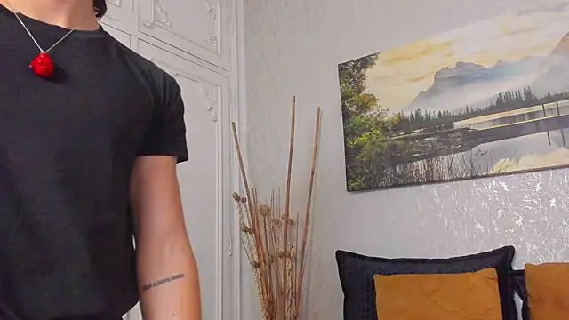 Tyler_durten webkamerás műsora