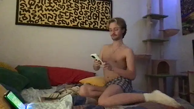 TwinkGaymer's Webcam Show