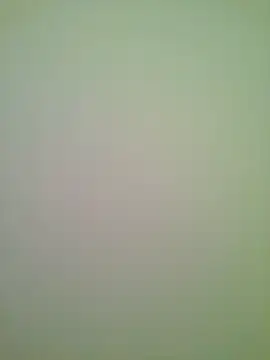 Lovensetest Show Webcam
