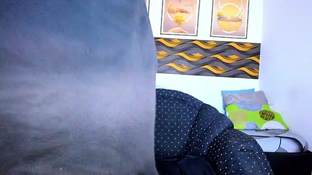 Chilly_Willyx webkamerás műsora