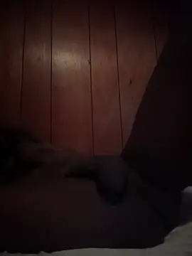 misterincred's Webcam Show