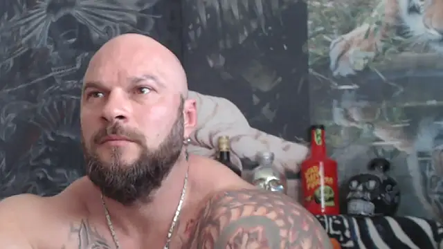แชท XXX สดของ viking_30