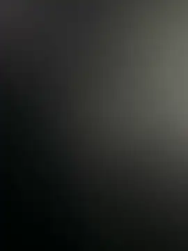 Fjome Webcam Show