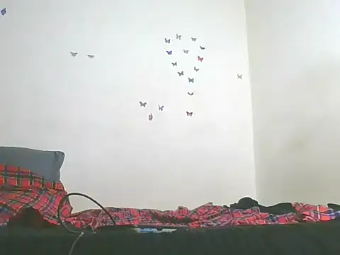 Show webcam de sly_hott