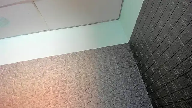 Chat +18 de _Zammara_ ao vivo