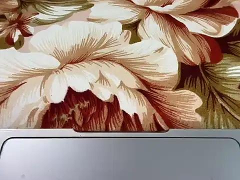 ind2537 即時 XXX 聊天
