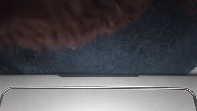 geilgoed2's Webcam Show