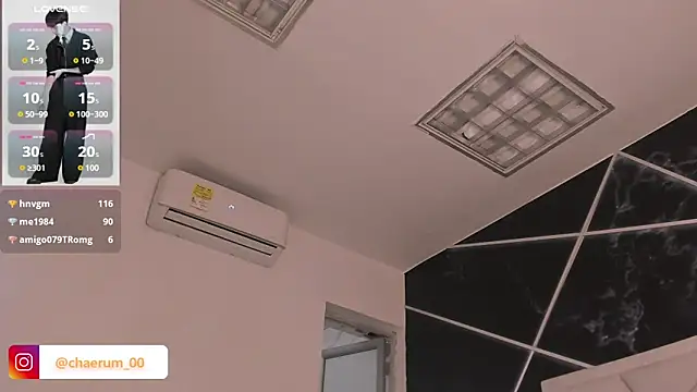 AerumChae Show Webcam