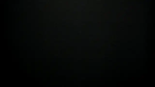 LoraCougar 现场XXX聊天
