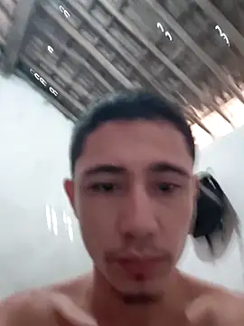 Show de Sharkbirdh na webcam