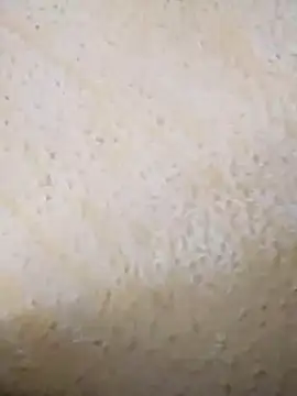 hotaniani 라이브 XXX 채팅