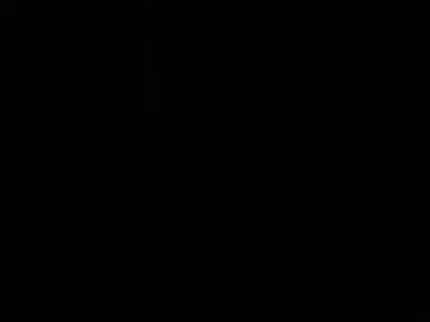 Blkstylionのウェブカメラショー