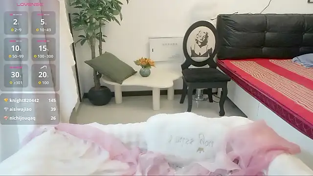 Show webcam de NANA-EET