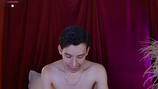 عرض كام VicenteFerrer