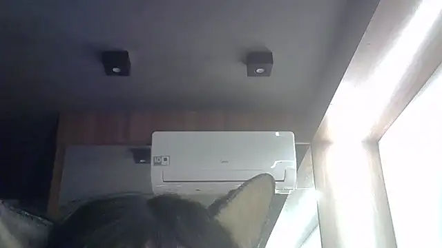 Show de webcam de SkinnyKitten