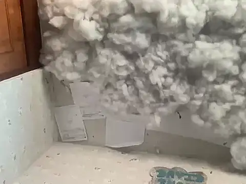 VenezolanasENcolombia 웹캠 쇼
