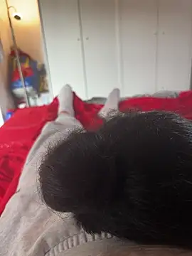 daubine46 Webcam show