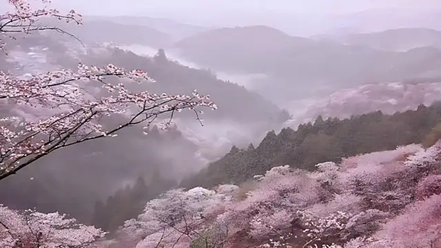 AnnettaBelsitoのライブXXXチャット
