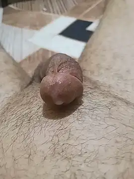 EgyptianHorse's Webcam Show