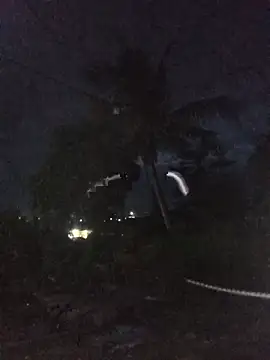 lilpip Pertunjukan Webcam